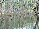 2005-07-18 004.JPG